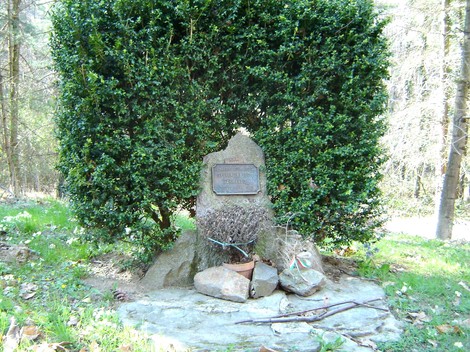 Cippo commemorativo circondato da vegetazione, situato nella natura di Spolentini.