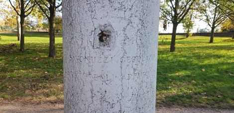 Colonna storica con iscrizioni, immersa nella natura di Savonuzzi e Torboli. Ideale per escursioni e turismo culturale.