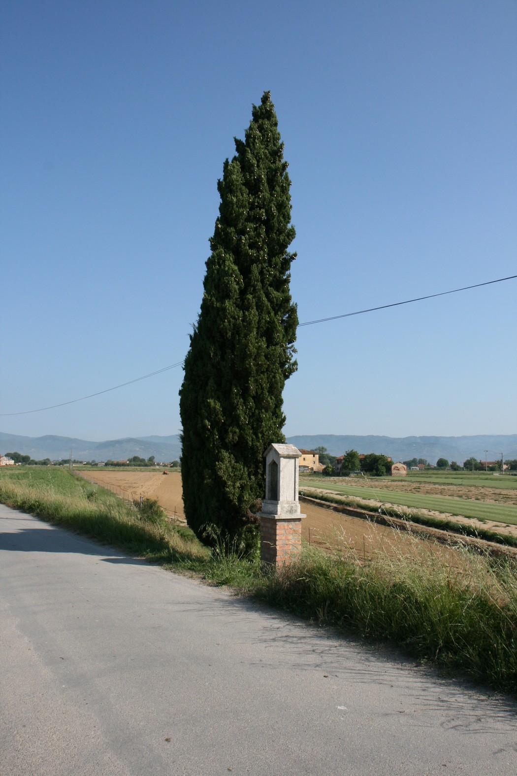 Tabernacolo dedicato a Enrico Magnani, circondato da un paesaggio rurale e un alto cipresso.