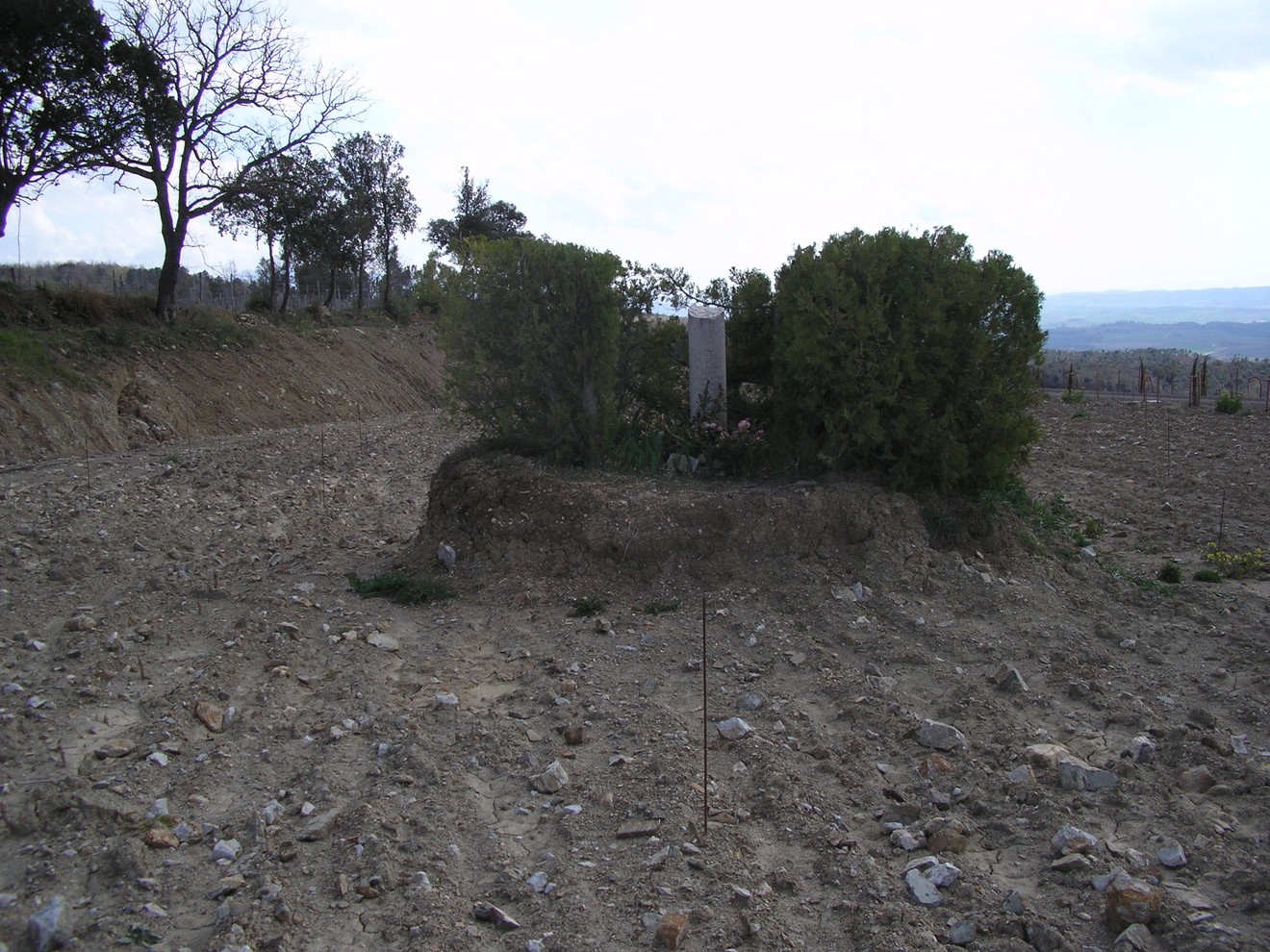 Cippo a Ferretti, monumento immerso nella natura, circondato da vegetazione e terreno sassoso.