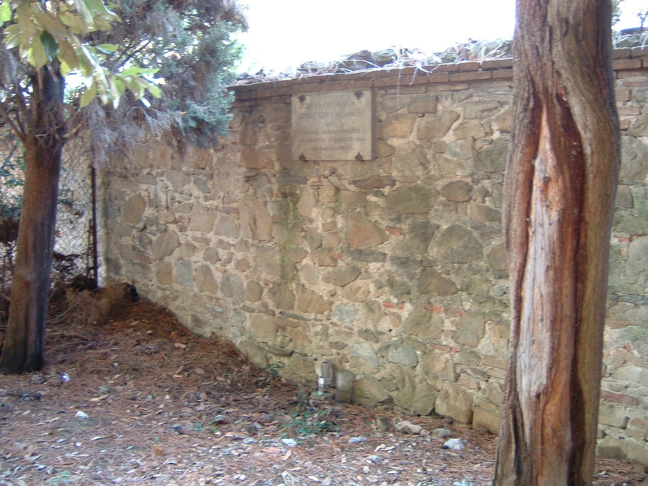 Lapide commemorativa posta su un muro di pietra, circondata da alberi e vegetazione.