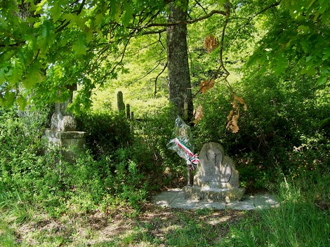 Monumento a Ceccattini immerso nella vegetazione, circondato da alberi e un'atmosfera di quiete.