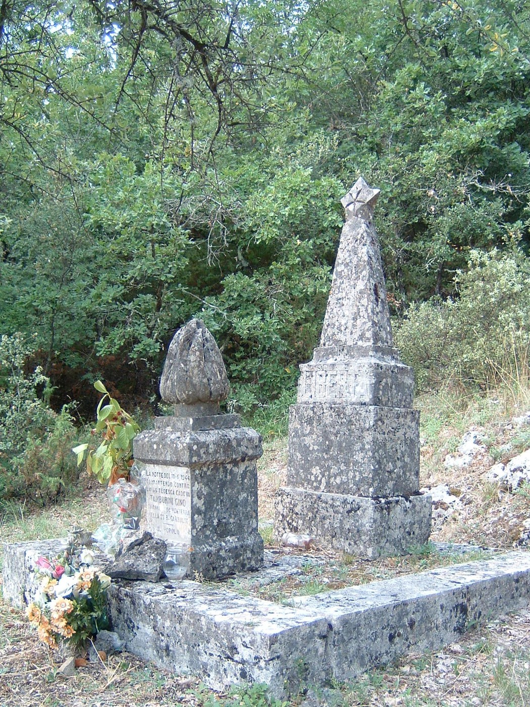 Monumento del Ponte di Riotorto, un memoriale immerso nella natura, simbolo di memoria storica locale.
