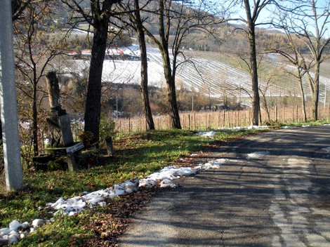 Cippo commemorativo immerso nella natura, circondato da vigneti e alberi in un paesaggio tranquillo.