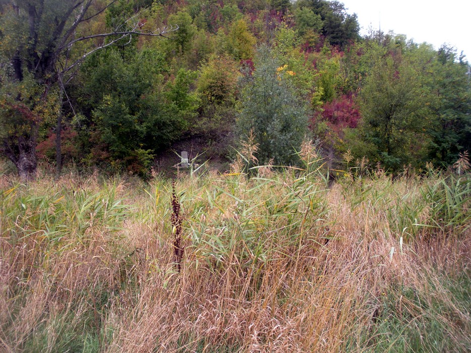 Cippo a Salvatici immerso in un paesaggio naturale con vegetazione verde e ombrosa.