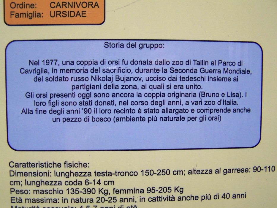 Cippo commemora l'orso Nikolai Bujanov, ucciso dai tedeschi nella Seconda Guerra Mondiale.