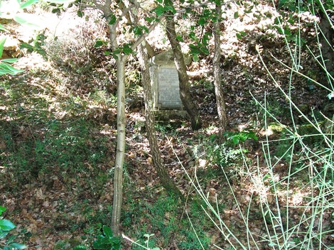 Cippo commemorativo dedicato a Cecconi e Iacopini, immerso nella natura.