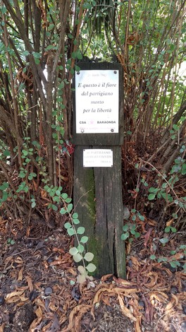 Cippo commemorativo ai partigiani, circondato da vegetazione, simbolo di libertà e resistenza.