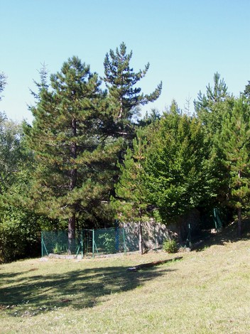 Cappella ai fratelli Bimbi: un luogo immerso nella natura, circondato da alberi e serenità.