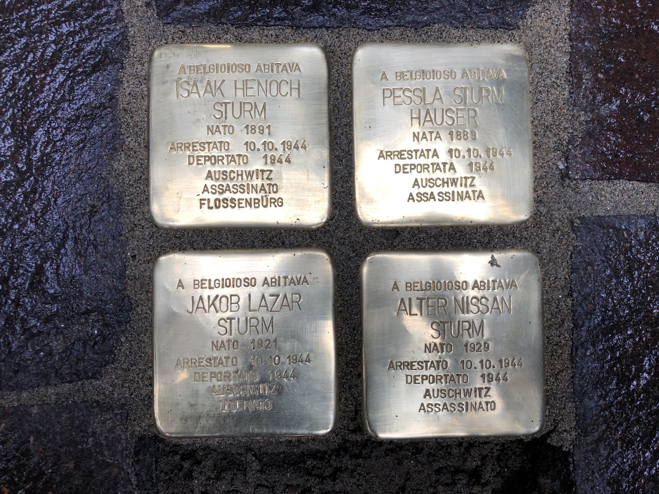 Pietre d'inciampo che commemorano le vittime della famiglia Sturm deportate ad Auschwitz.