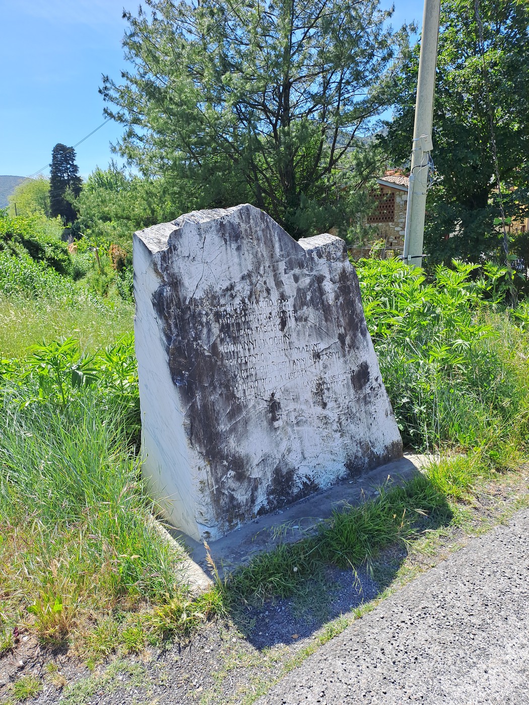 Cippo commemorativo a Pacchini, circondato da vegetazione e in un contesto naturale tranquillo.