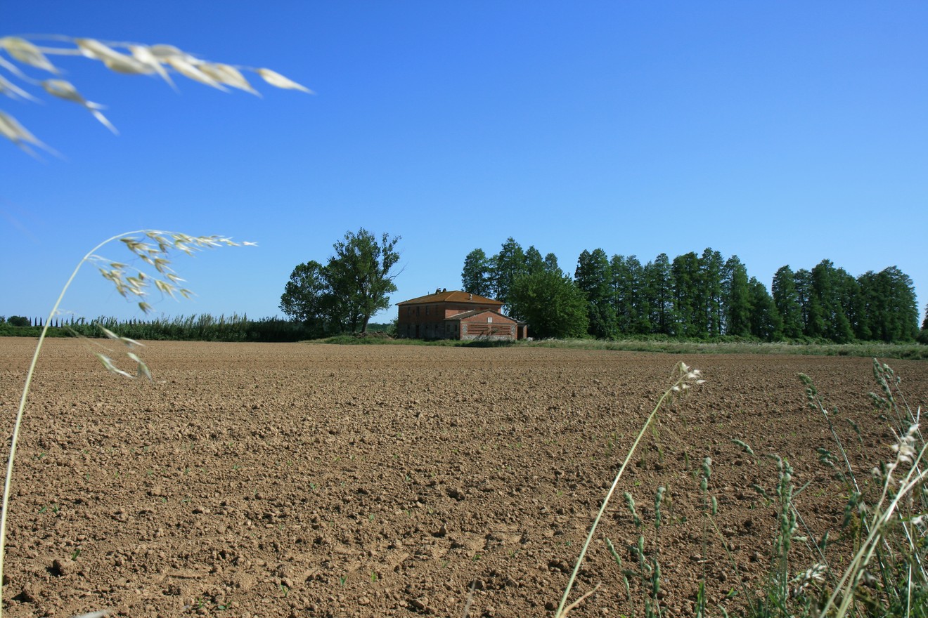 Lapide di Casa Simoni, visibile in un ampio campo soleggiato con alberi sullo sfondo.