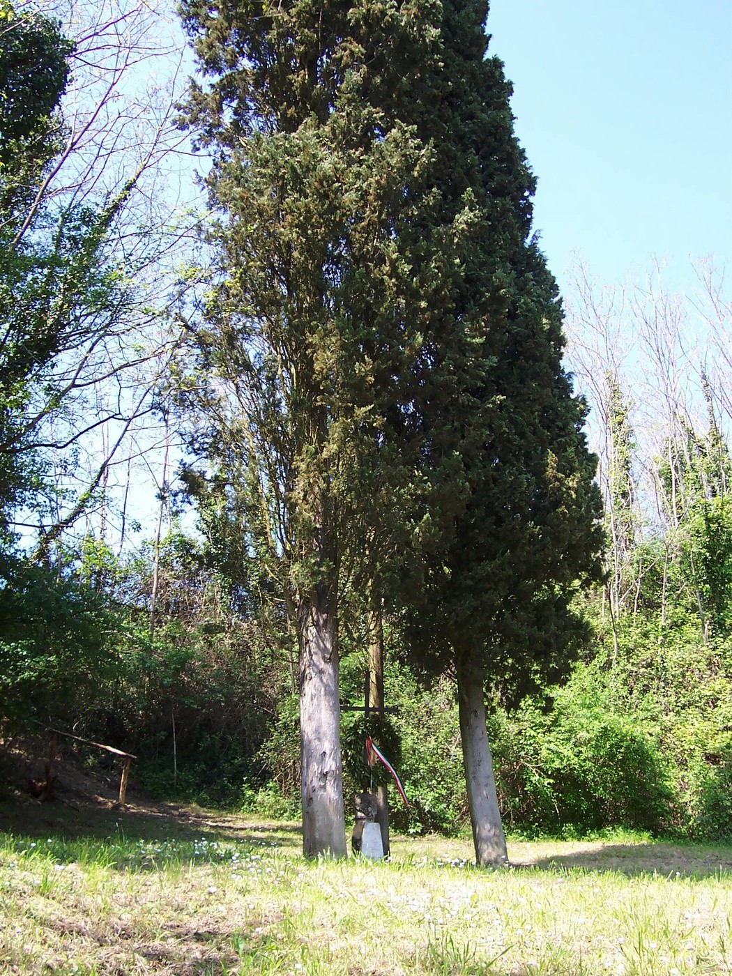 Cippo di Perelli, monumento immerso nella natura, circondato da alberi e vegetazione.