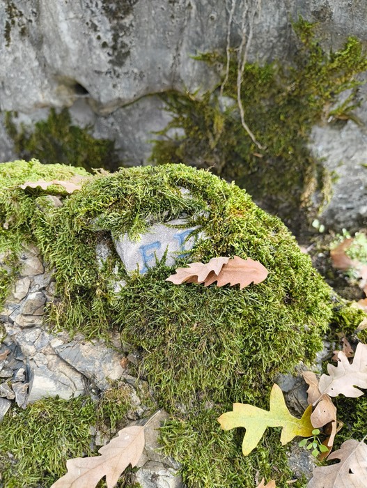 Monumento ai caduti di Ca' Boschetto, immerso nella natura tra muschio e foglie secche.