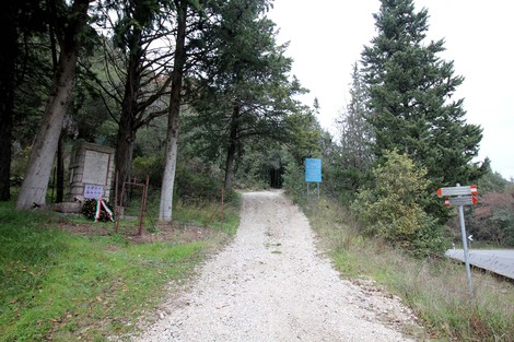 Strada che conduce al Monumento per la strage di Piedipaterno, immerso nella vegetazione.