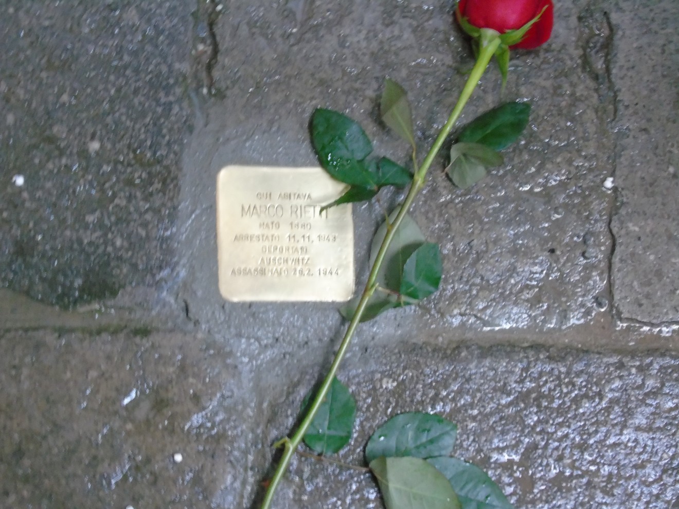 Pietra d'inciampo a Rieti con una rosa rossa posata accanto, in memoria di Marco Rieti.