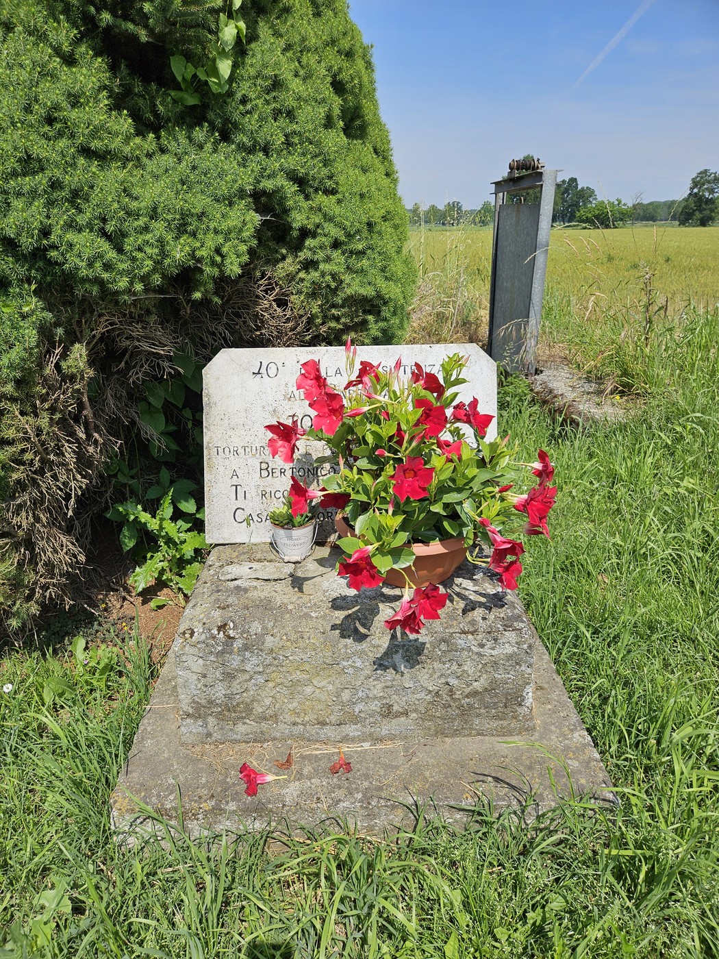 Lapide decorata con fiori rossi, circondata da verde, in un campo soleggiato. Atmosfera di serenità e ricordo.