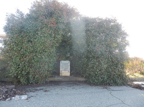 Cippo commemorativo coperto da vegetazione, dedicato a Macri, Viotto e Bassetti, situato in un'area tranquilla.