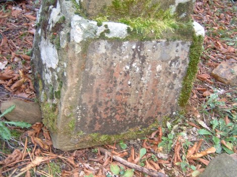 Cippo di Panzalla, monumento in pietra avvolto dalla natura, simbolo di storia e memoria locale.