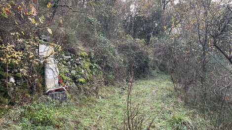 Monumento e lapide a Foschi, immersi nella natura e circondati da vegetazione.