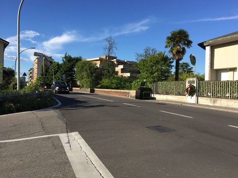 Targa commemorativa dedicata a Canuti, situata lungo una strada urbana circondata da vegetazione.