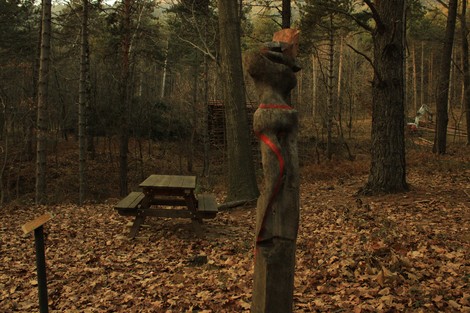 Scultura in legno di Gabarini circondata da un bosco autunnale, con tavolo da picnic e foglie secche.