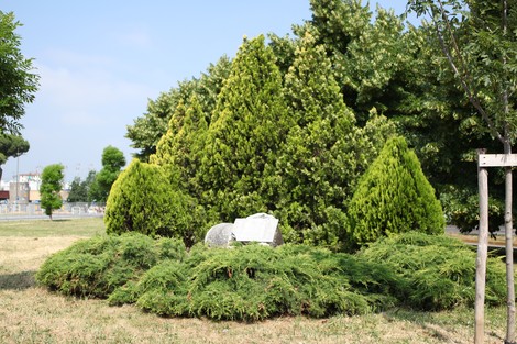 Monumento ai caduti nei lager, circondato da verde, in memoria delle vittime della deportazione.