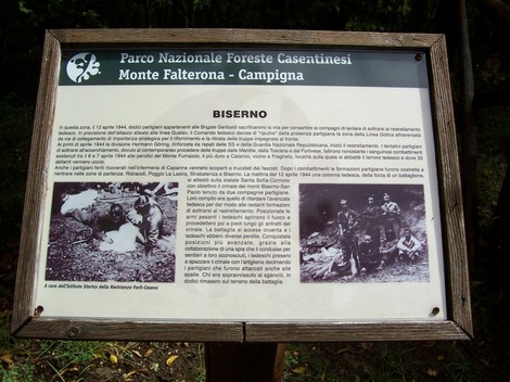Cippo della Croce del Biserno, un monumento storico nel Parco Nazionale Foreste Casentinesi.