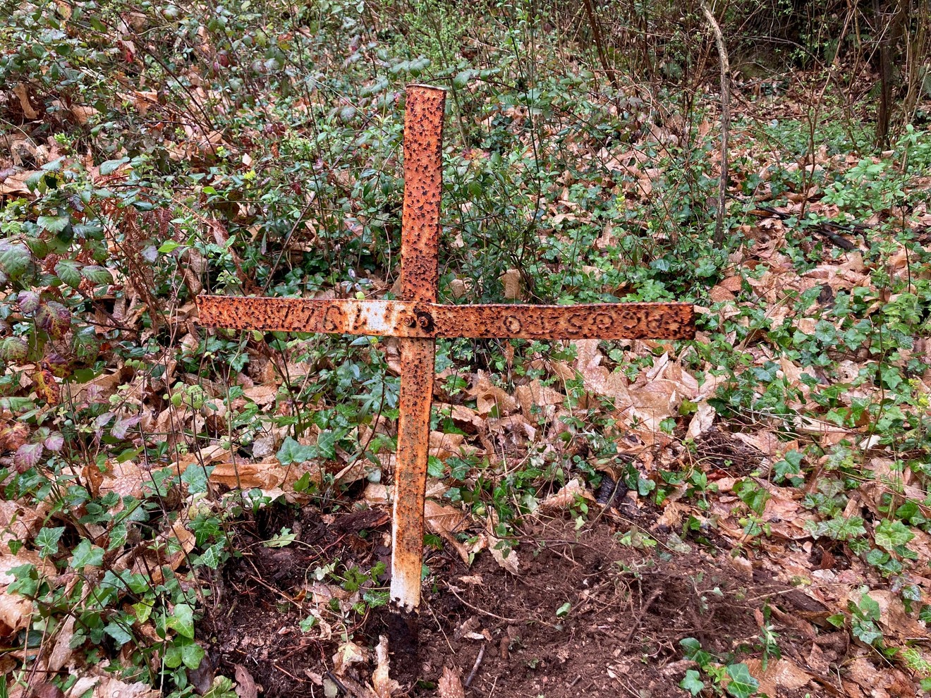 Croce in legno, circondata da vegetazione e foglie secche, simbolo di memoria e rispetto.