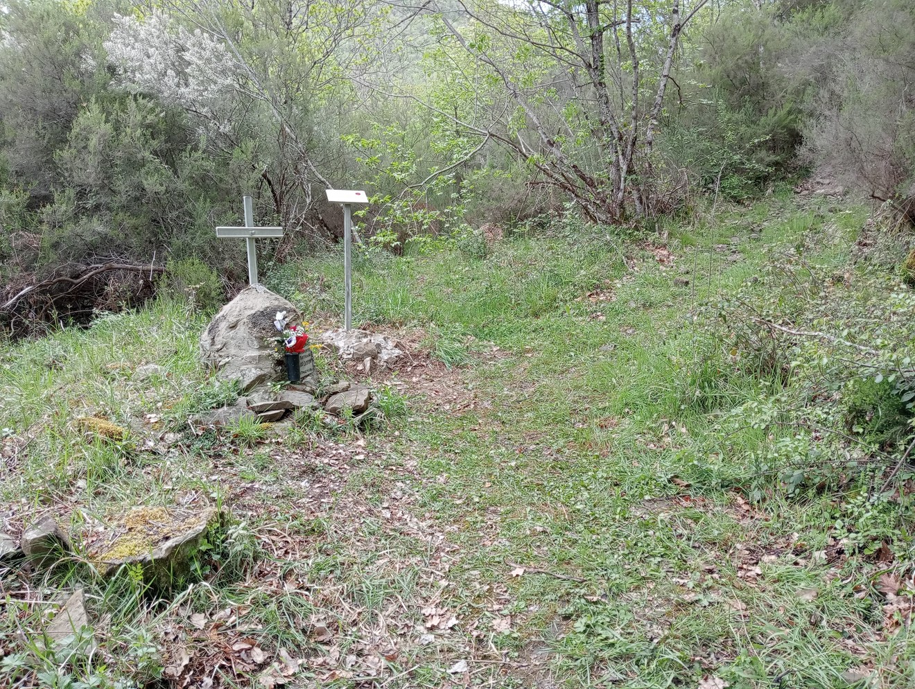 Cippo a Zamponi immerso nella natura, circondato da vegetazione e sentieri erbosi.