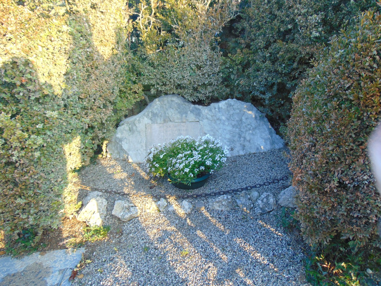 Lapide circondata da piante, con un vaso di fiori bianchi in primo piano su un fondo di ghiaia.