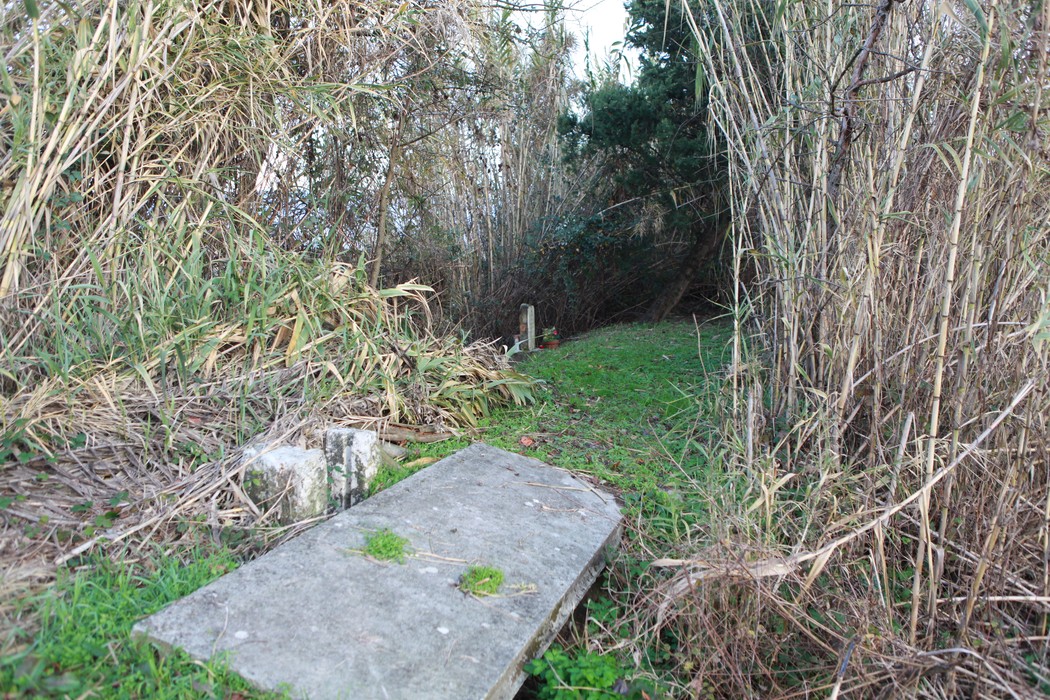 Cippo a Quiriconi immerso nella vegetazione, simbolo di storia e legami con il passato.