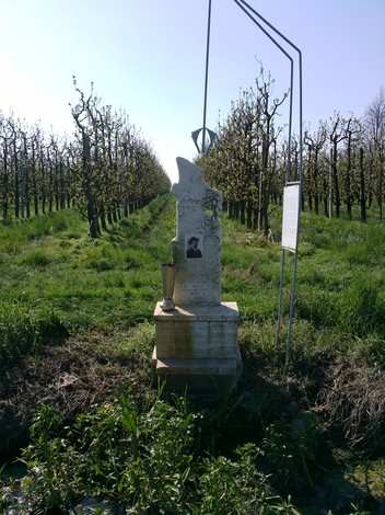 Cippo commemorativo immerso in un campo, circondato da alberi in fiore e vegetazione verde.