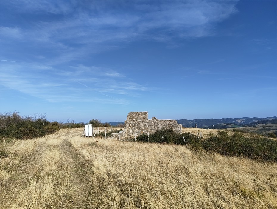 Rovine di Ca' di Guzzo, Comune di Castel del Rio (BO), foto 5
