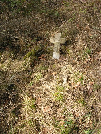 Cippo commemorativo immerso nella vegetazione, simbolo di memoria e storia locale.