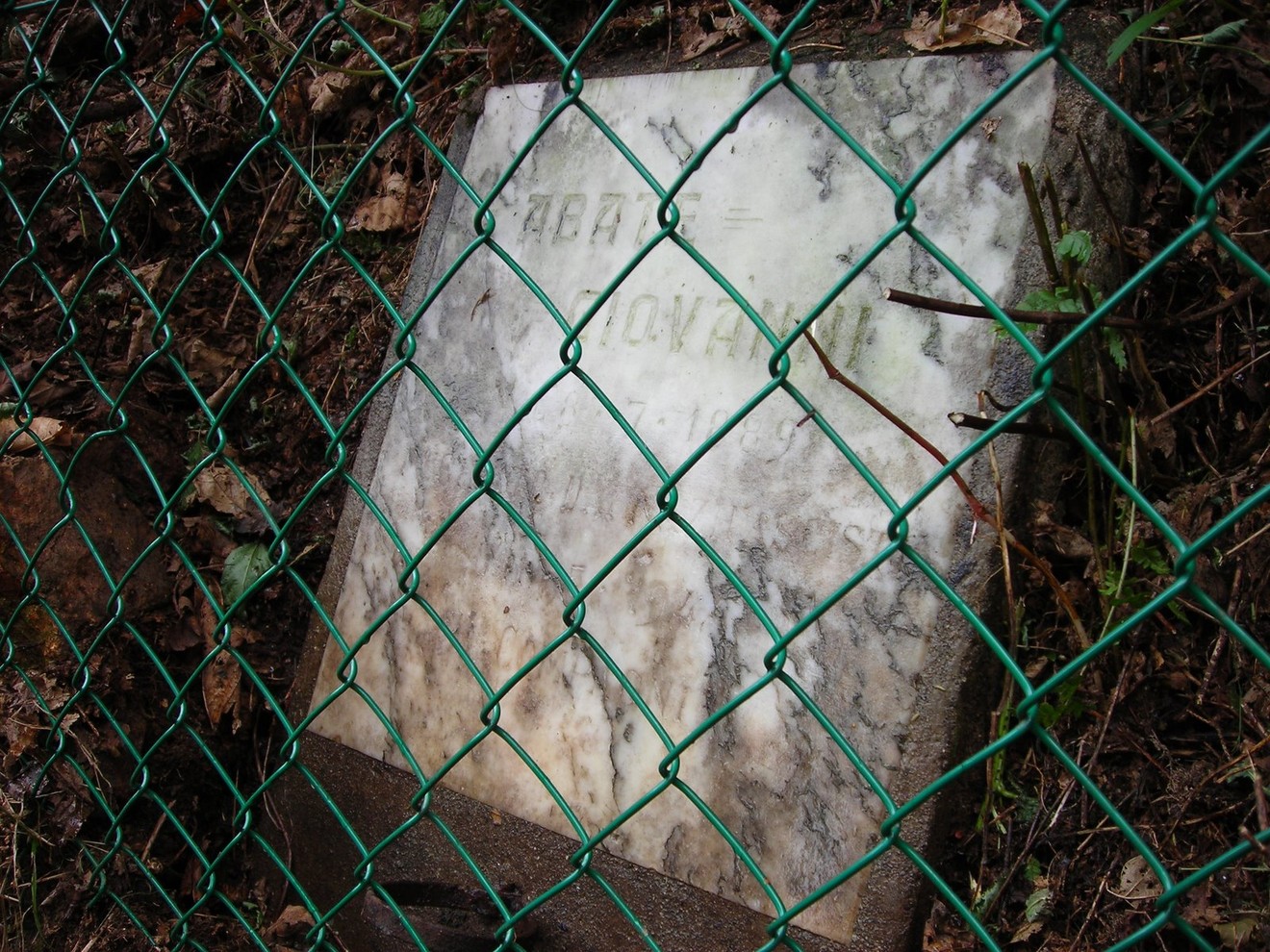 Lapide in pietra coperta da vegetazione, recintata, visibile tra i rami e il terreno circostante.