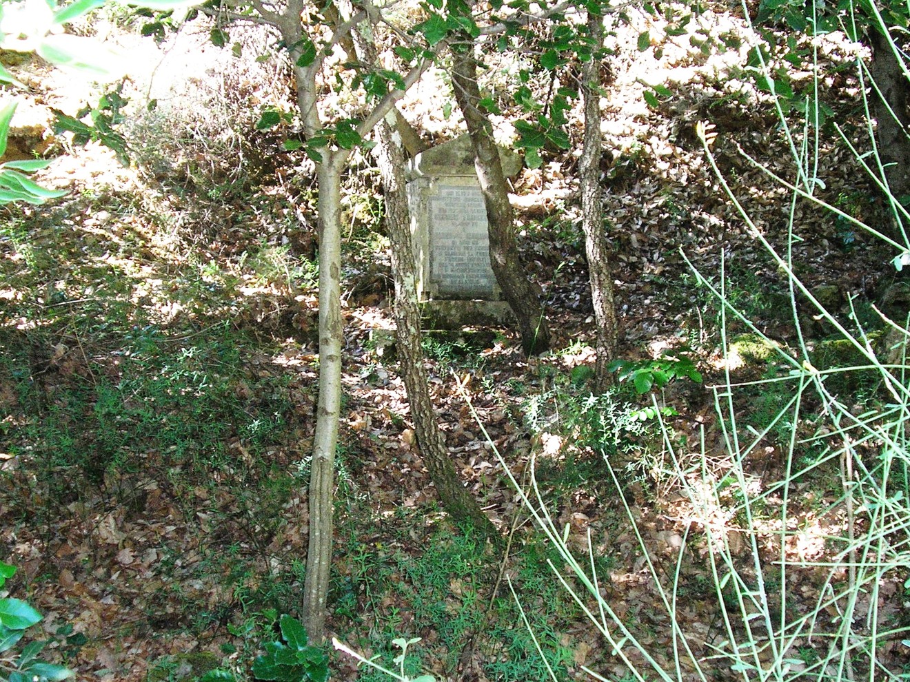 Cippo commemorativo dedicato a Cecconi e Iacopini, immerso nella natura.