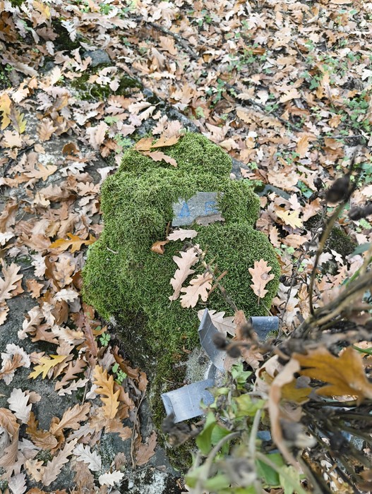 Monumento ai caduti di Ca' Boschetto, coperto da muschio e foglie, immerso nella natura.