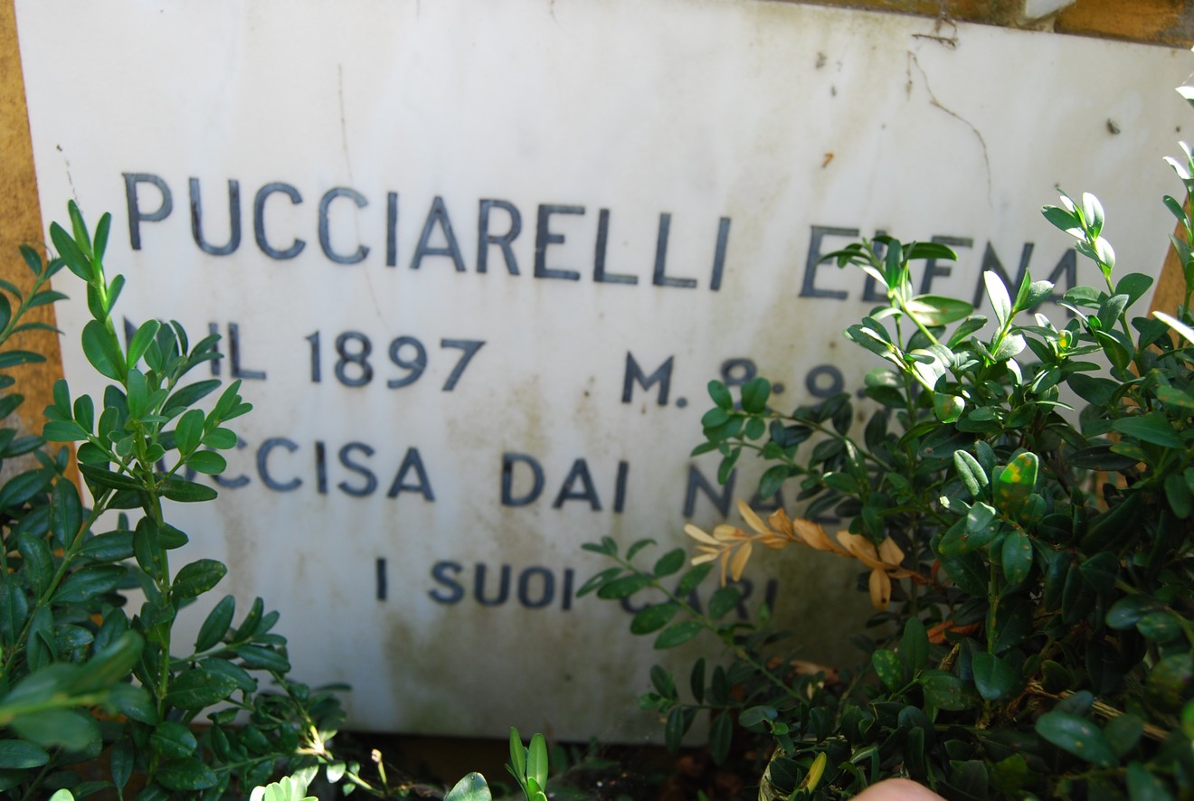 Sepolcro di Pucciarelli circondato da vegetazione, con lapide dedicata a Elena Pucciarelli, morta nel 1897.
