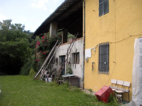 Immagine di una struttura con giardino, scale a pioli e parete gialla in un contesto naturale.