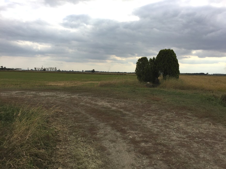 Monumento ad Aspesi immerso nel paesaggio rurale, tra campi e nuvole grigie.