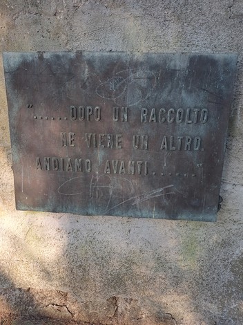 Monumento ai Caduti con una placca commemorativa su un supporto di pietra, circondato da vegetazione.
