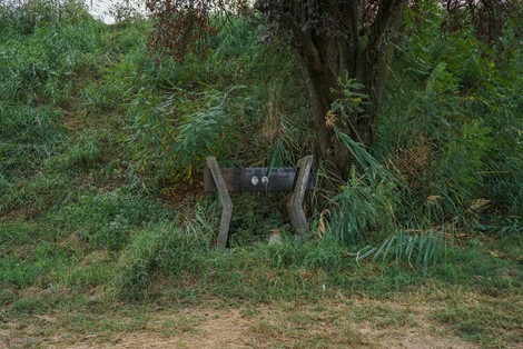 Monumento a Dalmari e Vezzelli, immerso nella natura con vegetazione attorno e un albero nelle vicinanze.
