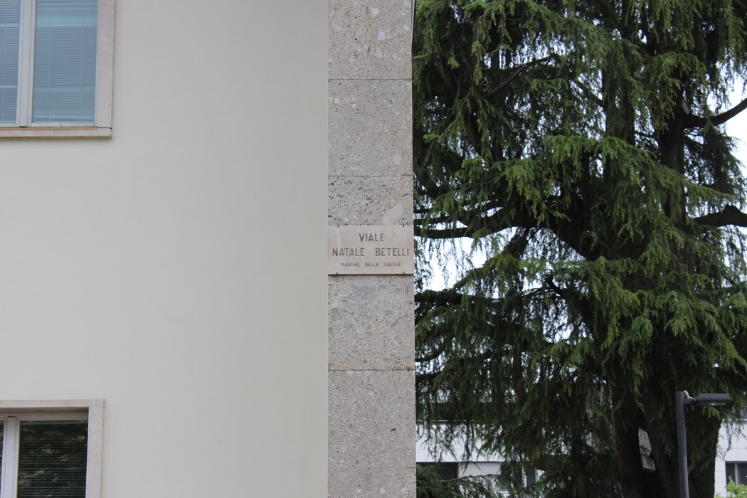 Targa con il nome di "Viale Natale Betelli" su un muro accanto a un albero verde.