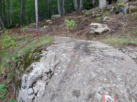 Roccia con segnale che indica la "Scritta partigiana" immersa nella natura del Lago Santo.