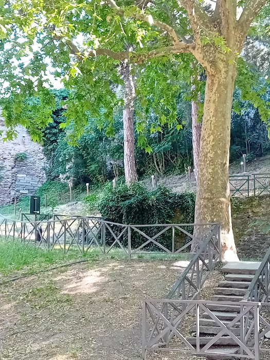 Vista di un sentiero nel Parco della Rimembranza, con alberi e una scala in legno che conduce a un'area verde.