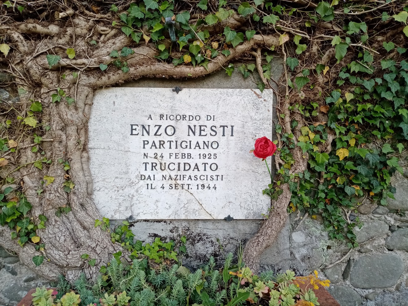Lapide commemorativa di Enzo Nesti, partigiano trucidato dai nazifascisti nel 1944, con una rosa rossa accanto.