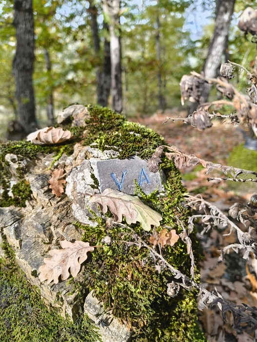 Monumento ai caduti di Ca' Boschetto, immerso nella natura, circondato da foglie e alberi.