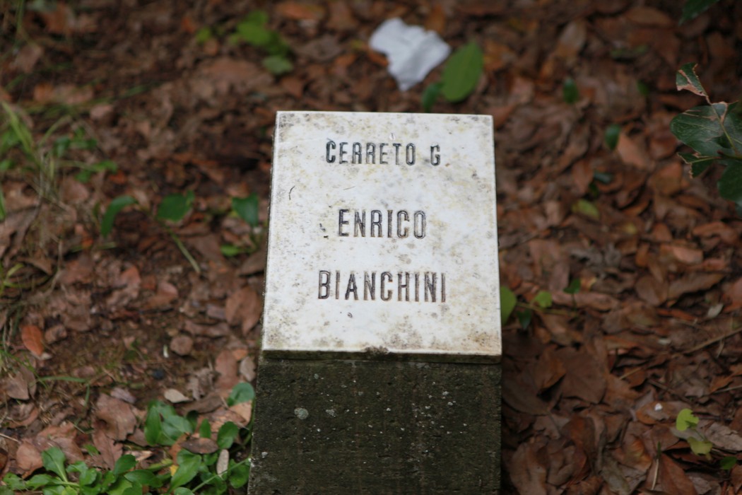 Un angolo tranquillo nel "Giardino della meditazione", circondato da foglie e natura.