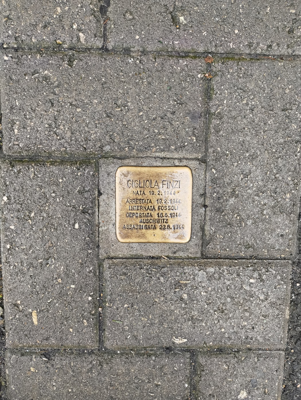 Pietra d'inciampo dedicata a Gigliola Finzi, commemorazione di vittime della persecuzione.